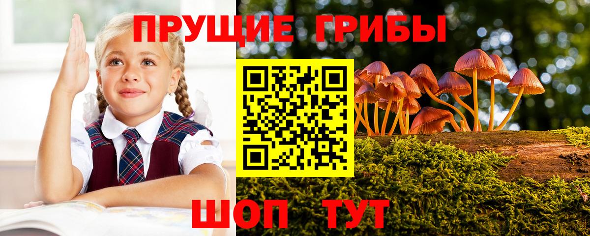 Острогожск  Галлюциногенные грибы прущие грибы  Псилоцибиновые грибы Magic Shrooms  Вход с VPN 